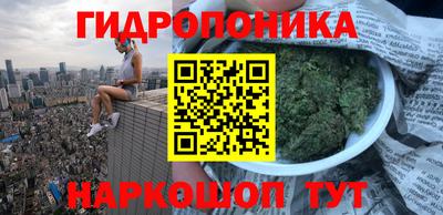 jwh Кимры