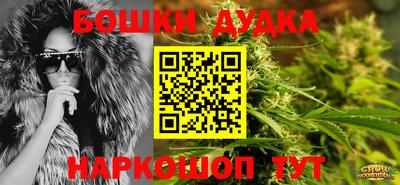 jwh Кимры
