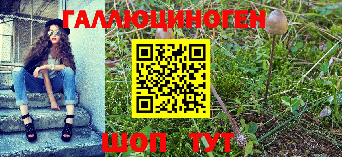 Псилоцибиновые грибы Cubensis Бугуруслан